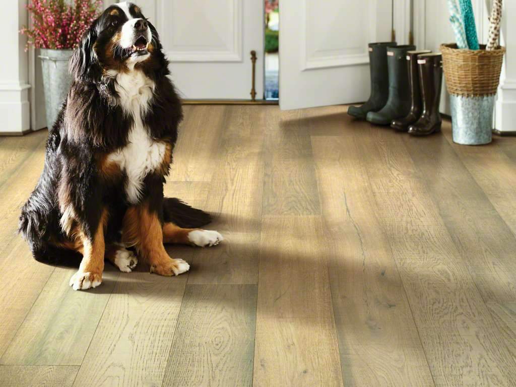 Shaw Exquisite Waterproof Hardwood