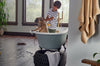 Labradors and Laminate