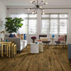 Laminate and Humidity