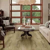 Titan HD Plus Floorte