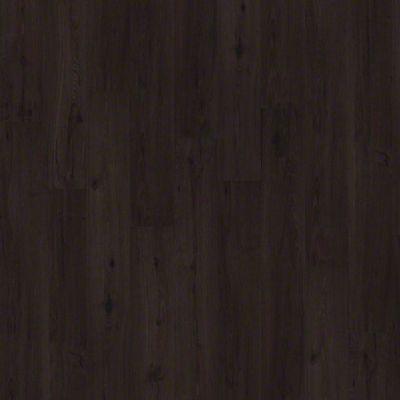 Shaw World's Fair 6" II Barcelona Clearance - Swatch