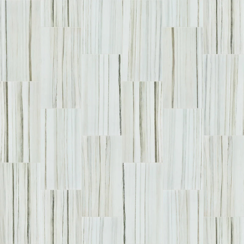 Shaw Tile Range Zebrino 12x24 Polish