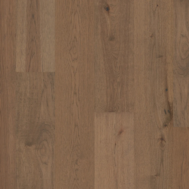 Anderson Imperial Pecan Hazel
