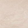 Mural Taupe / 19.62 Mural Taupe / 19.62