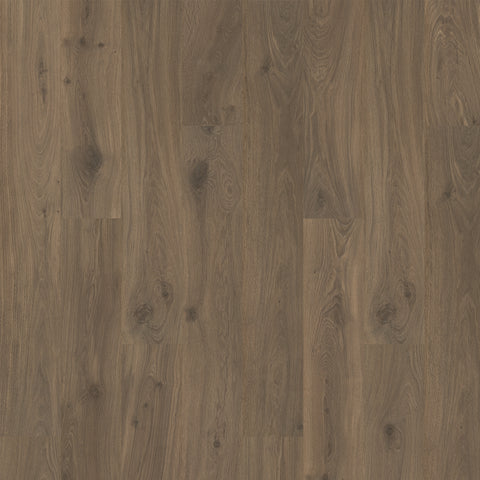 Quick-Step Ellicott Point Book Case Oak Swatch