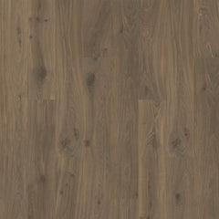 Quick-Step Ellicott Point Book Case Oak Swatch