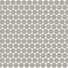 Desert Gray Desert Gray