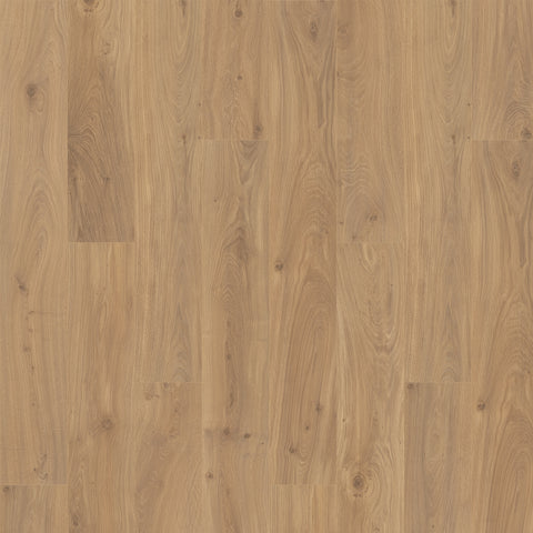 Quick-Step Ellicott Point Gilded Page Oak Swatch