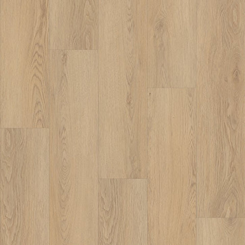 Shaw Optimum 512C Plus White Sand Clearance Swatch