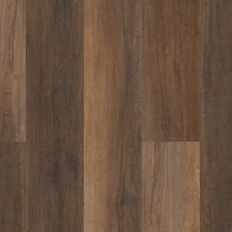 COREtec Pro Premium VV488 Cheshire Elm