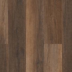COREtec Pro Premium VV488 Cheshire Elm Swatch
