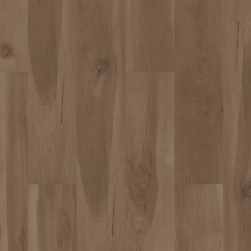 COREtec Originals Premium VV704 Blended Caraway