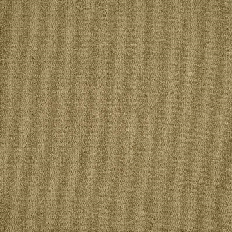 Shaw Carpet Tile Color Accents Aloe