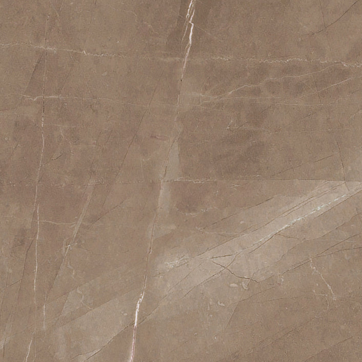 Tile Collection Luxury 24x24 Tile Amani Bronze Rectified Polished