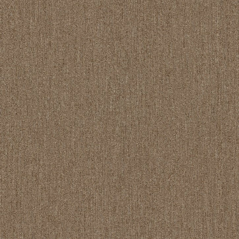 Shaw Carpet Tile Profusion Tile Ample