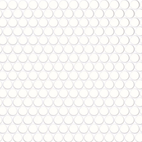 Daltile Color Wheel Mosaic Group 1 Penny Rounds Arctic White