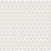 Arctic White Arctic White