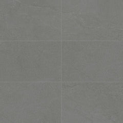 Daltile Calgary Rectangle 12x24 Polished Armor