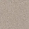 Bliss / 11.64 Bliss / 11.64