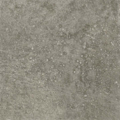 Paramount Tile Molo Audace Bocca Di Lupo 8" x 16"