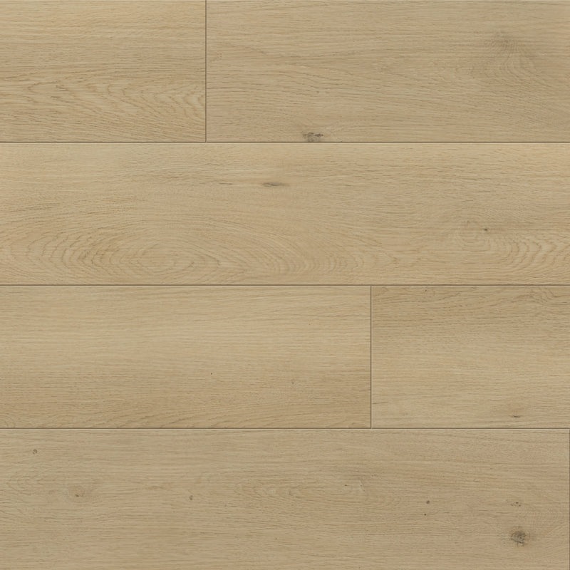 Paramount Bliss Dry Back Boothbay Beige