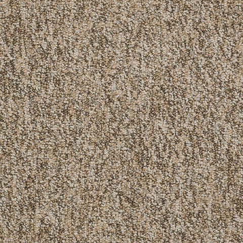 Shaw Carpet Tile No Limits Tile Boundaries Swatch