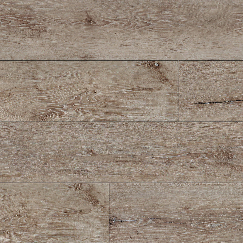 Paramount Bliss Dry Back Brushed Aluminum