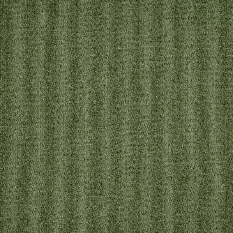 Shaw Carpet Tile Color Accents Cactus