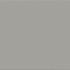 Tile Collection Soho 2x12 Tile Cement Chic Glossy