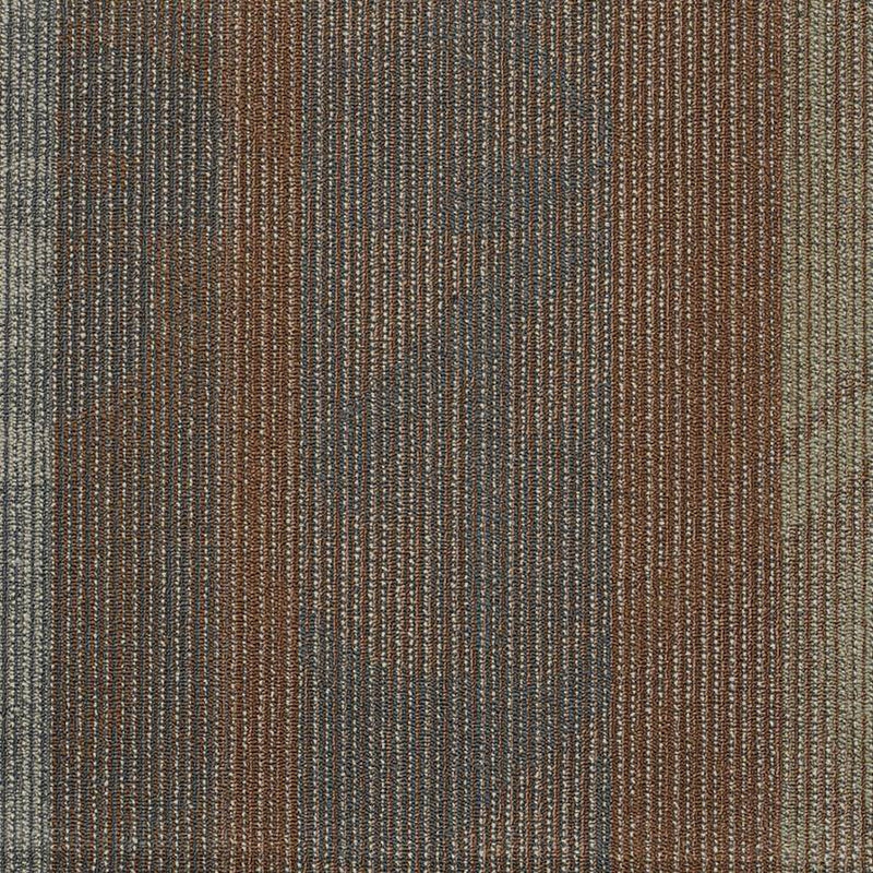 Shaw Carpet Tile Feedback Co-Channel