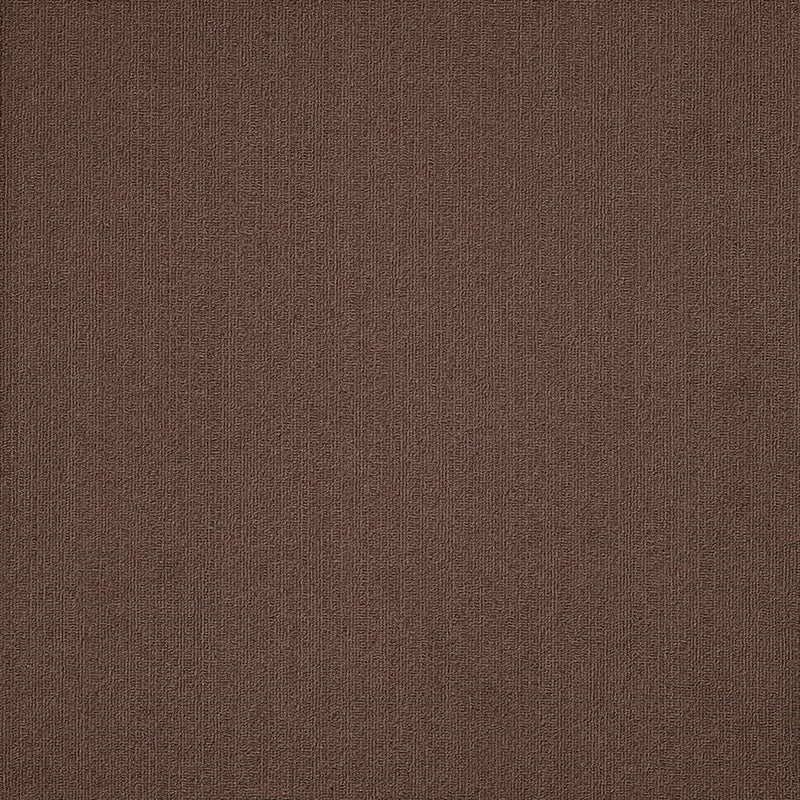 Shaw Carpet Tile Color Accents Coffee