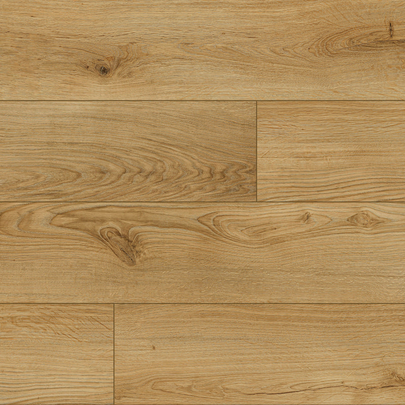 Paramount Bliss Dry Back Congaree (Hi Res)