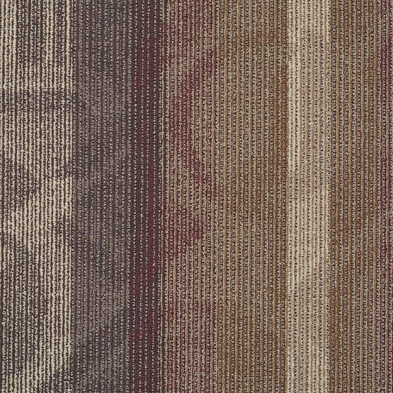 Shaw Carpet Tile Feedback Echo