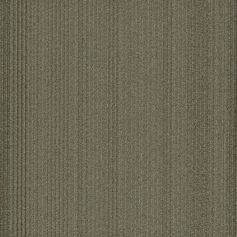 Shaw Carpet Tile Practical Effective Swatch