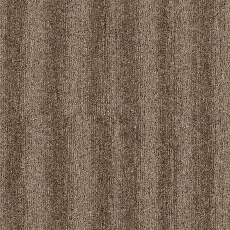 Shaw Carpet Tile Profusion Tile Excess