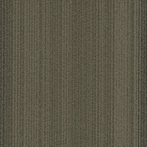 Shaw Carpet Tile Practical Feasible Swatch