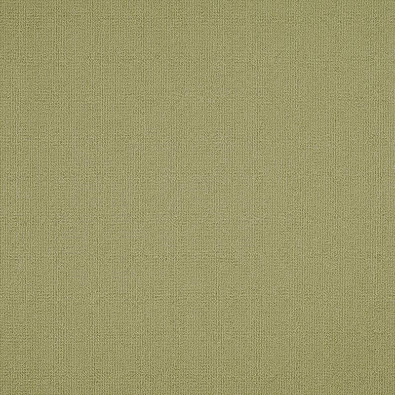 Shaw Carpet Tile Color Accents Fescue