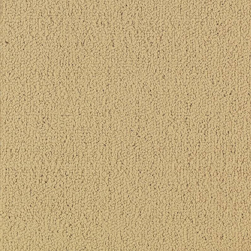 Shaw Carpet Tile Color Accents Flax