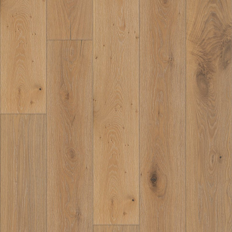 Shaw Expressions 9.5