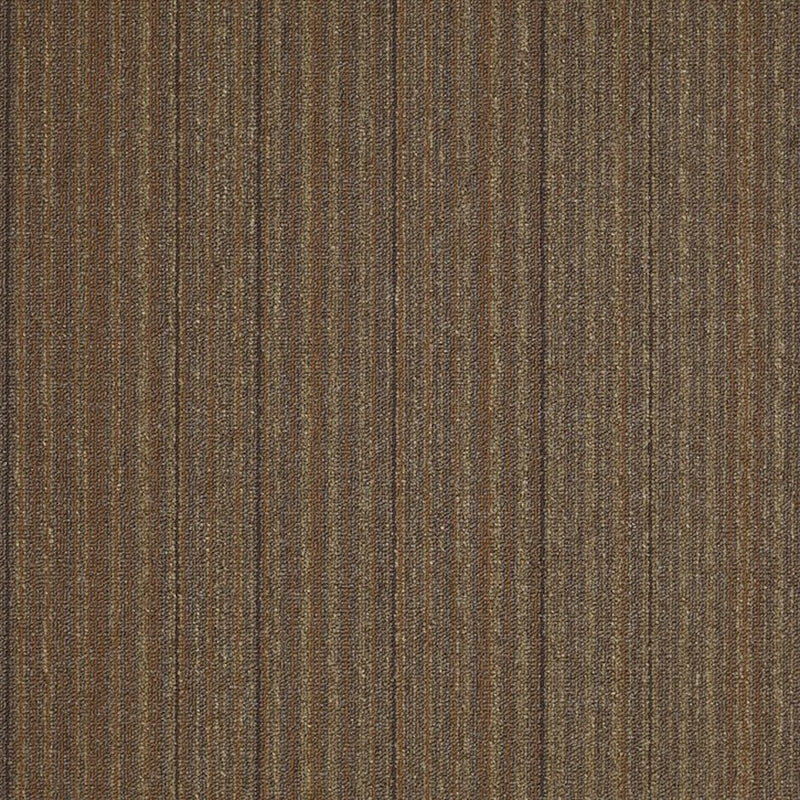 Shaw Carpet Tile Lucky Break It's A Miracle