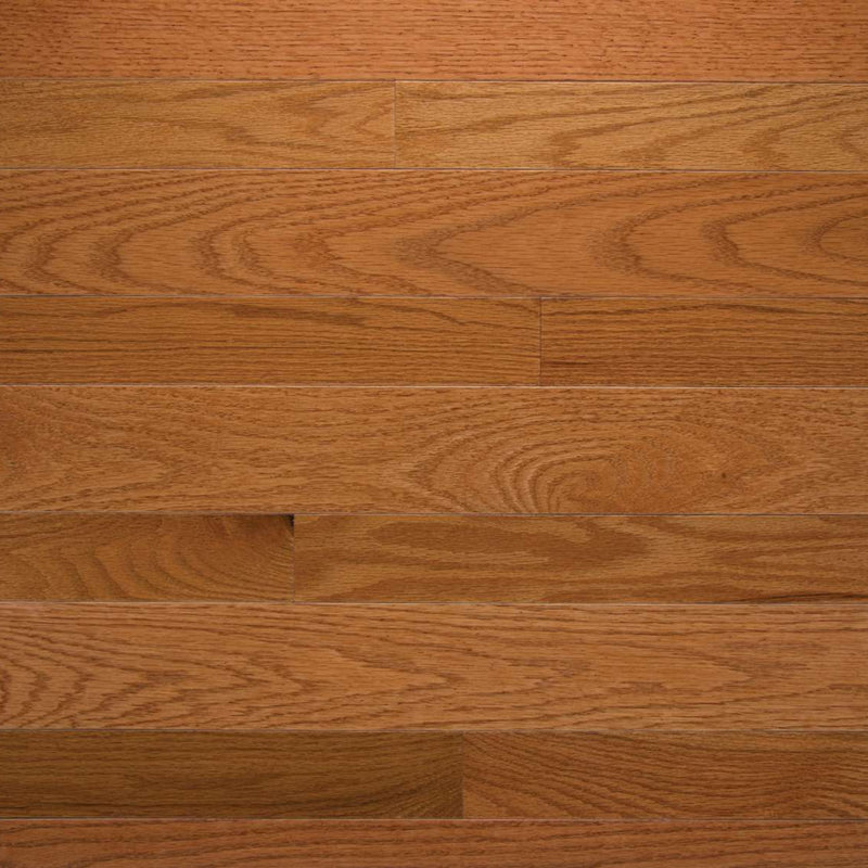 Somerset High Gloss Butterscotch 2 1/4
