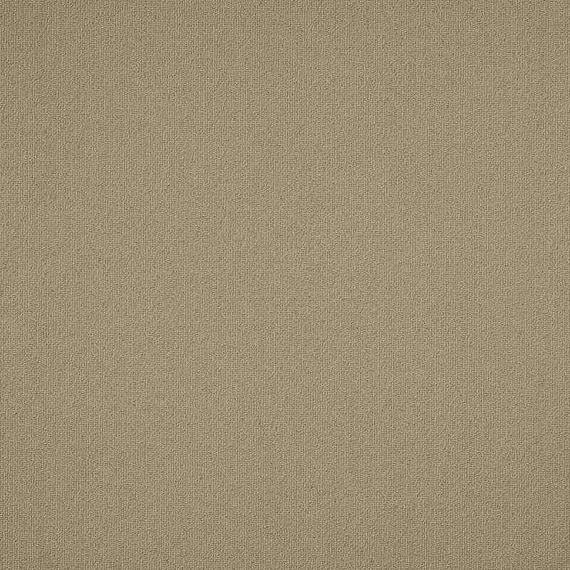 Shaw Carpet Tile Color Accents Lichen