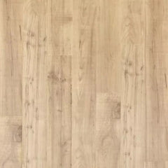 Mohawk Ellenwood Maple Sapling Oak