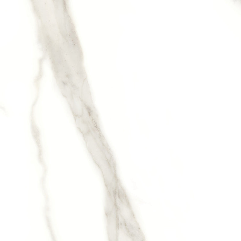 Tile Collection Mayfair 24x24 Tile Calacatta Oro Rectified Polished