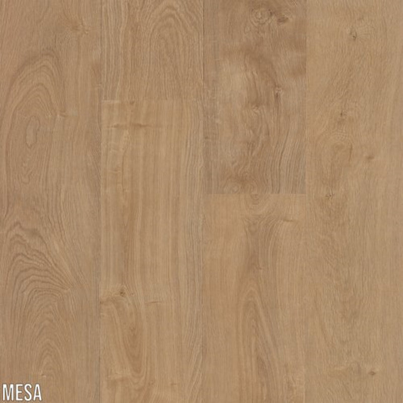 L.W. Mountain Boulder Dry Back Mesa Sample