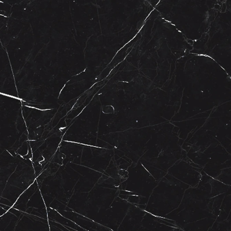 Tile Collection Luxury 24x48 Tile Nero Marquina Rectified Polished