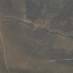 Paramount Tile Modern Slate Noce 12" x 24" Extra Grip