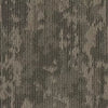 Olive Tree / 96 Olive Tree / 96