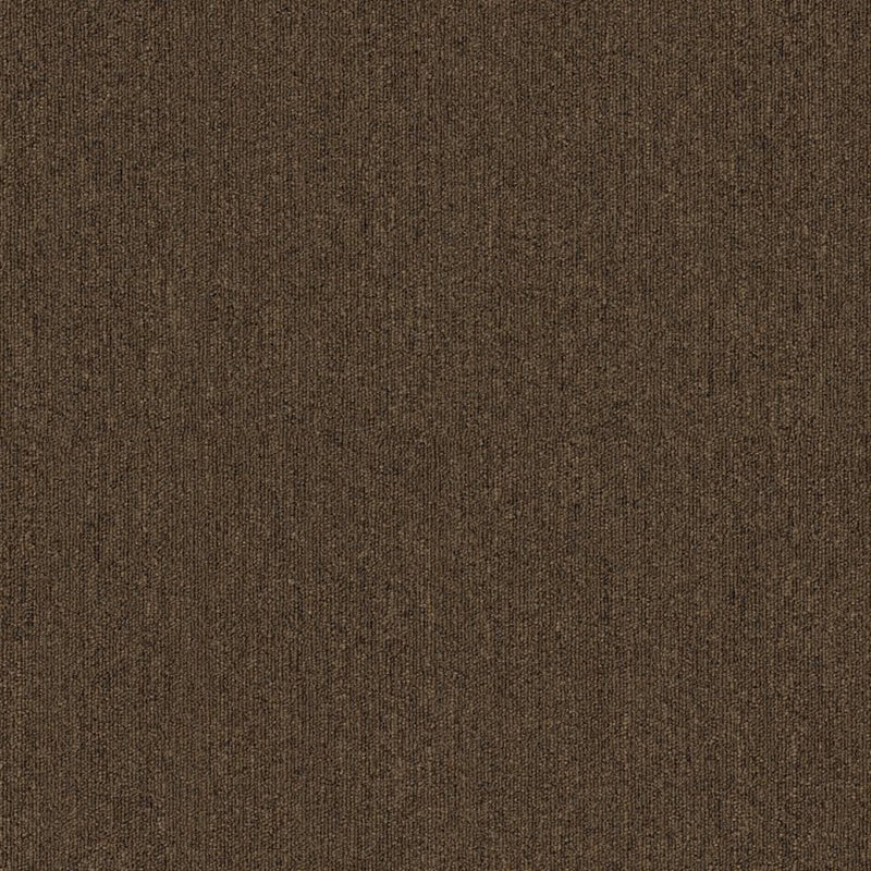 Shaw Carpet Tile Profusion Tile Overflow