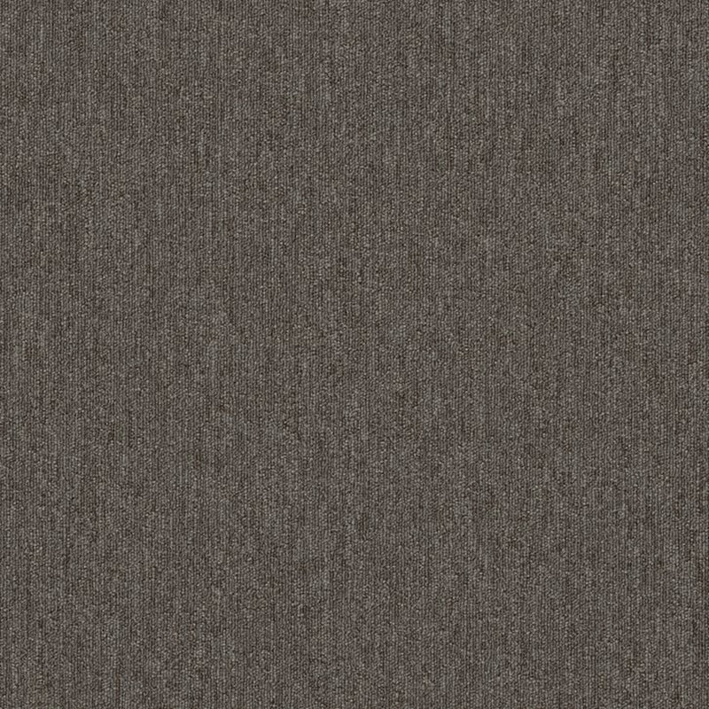 Shaw Carpet Tile Profusion Tile Piles